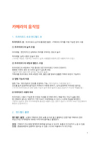영상 이론 정리 2차 보고서, 카메라의 움직임