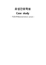 자궁내막암 CASE 간호과정2개, 간호진단2개