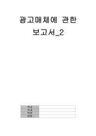 광고매체에 관한 보고서-2       A+자료