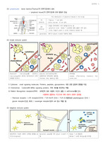 약학과]면역학1 전체 정리자료 레포트