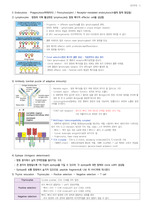 약학과]면역학1 전체 정리자료 레포트