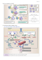 약학과]면역학1 전체 정리자료 레포트