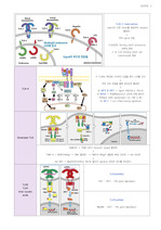 약학과]면역학1 전체 정리자료 레포트