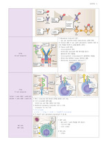 약학과]면역학1 전체 정리자료 레포트