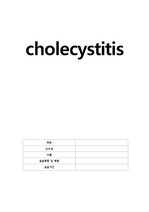 cholecystitis(담낭염)A+ case study 간호문헌,진단(2개),검사(ERCP)