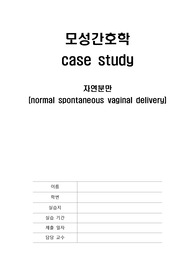 모성간호학 자연분만 case, 간호과정 2개