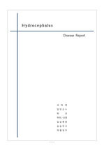 수두증 간호 문헌고찰 및 질병보고서 Hydrocephalus Disease Nursing Report