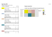 190408-Real time PCR-experimental protocol