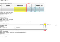 cDNA synthesis protocol-YK Lee