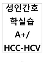 A+/ HCC-HCV/ 체온조절불균형/ 급성통증/ 출혈위험성/ 혈액검사 정상수치