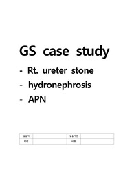 ( A+ 급성통증, 감염의 위험 ) Rt. ureter stone, hydronephrosis, APN case study