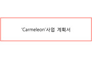 사업계획서 ) Carmeleon 사업 계획서