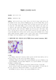 [A++자료] 아동간호학실습, &quot;마이시스터즈 키퍼&quot; 감상문 및 간호과정보고서(간호진단 3개, 간호수행은 없어요!)