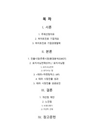히트상품 마케팅전략&lt;테라 마케팅전략분석&gt;(하이트진로기업개요,테라4P,테라SOWT,테라STP)