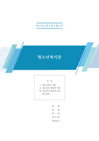 (A+레포트)[청소년복지] 청소년복지 개념 및 특성