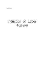 여성) '유도분만(Induction of Labor)' CASE STUDY (간호진단 5개, 간호과정 2개)
