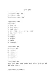 사이버 성폭력