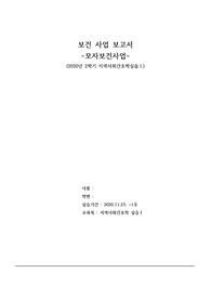 모자보건사업 보고서 (a쁠!!!극찬)