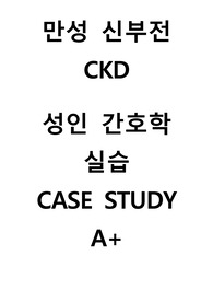 [성인간호실습A+] 만성 신부전 CKD (Chronic Kidney Disease) 간호 진단 3개 , 간호과정 3개