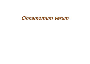바이오산업공학 조발표(Cinnamomum verum)