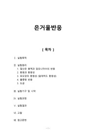 [일반화학실험2 레포트] 은거울반응