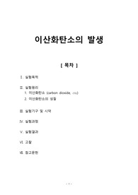 [일반화학실험2 레포트] 이산화탄소의 발생