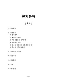[일반화학실험2 레포트] 전기분해