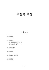 [일반물리실험1 레포트] 구심력 측정