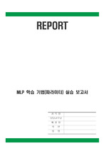 MLP(다층퍼셉트론) 학습 기법(파라미터 기반) 실습 보고서