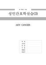 성인간호학 케이스 스터디 호스피스 AOV cancer (간호진단 10개, 간호과정 3개)
