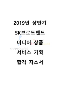 2019년 상반기 SK브로드밴드 합격 자기소개서(미디어, 서비스 기획 직무 자소서)