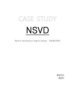 모성간호학 case study NSVD(정상질식분만)
