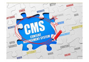 콘텐츠 관리 시스템 (CMS) 정리