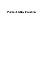 [생명공학실험 예비레포트]Plasmid DNA Isolation