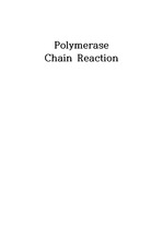 [생명공학실험 예비레포트]Polymerase Chain Reaction