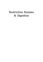 [생명공학실험 예비레포트]Restriction Enzyme & Digestion