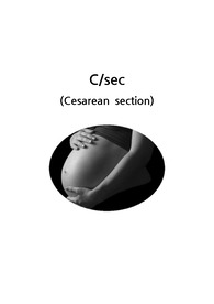 [여성,모성간호학실습] 제왕절개, c-sec 케이스 스터디, 간호진단 5개, 간호과정 2개