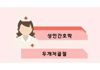 성인간호학 두개저골절 사례분석 PPT자료 [간호진단 및 간호과정 3개]
