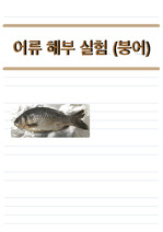 어류 해부 실험 - 붕어 A+(손글씨 아이패드 note형식 ,pdf 첨부)