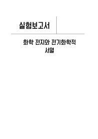 [일반화학실험] 화학 전지와 전기화학적 서열