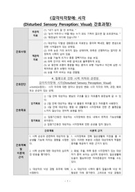 감각지각장애 (시각) 간호진단 간호과정