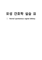 모성실습 CASE STUDY 분만실 자연분만/ 간호진단 7개 간호과정3개