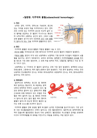 A+ 지주막하 출혈 질환 보고서(레포트)