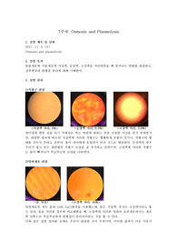 일반(공학)생물학 실험 보고서_Osmosis and plasomolysis