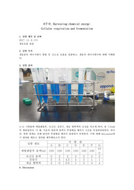 일반(공학)생물학 실험 보고서 세포호흡