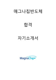 매그나칩반도체 합격자소서 2020상반기