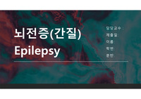 HPS활용 중환자 간호 뇌전증 보고서