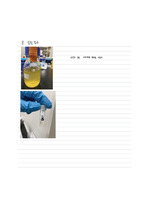 Cell Culture & Stock 결과 및 고찰