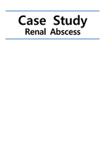성인) renal abscess case study, 신농양 케이스