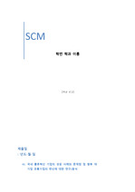 SCM 국내 물류혁신 기업의 성공 사례와 문제점 및 향후 대기업 유통기업의 변신에 대한 연구/분석